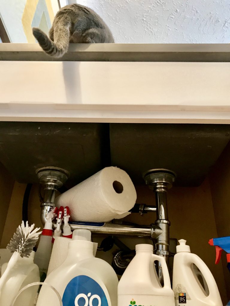 A jumble of white plastic bottles under the sink, mostly laundry products. And a roll of paper towels, though we're now trying washable bamboo wipes as a less-wastefful alternative.
