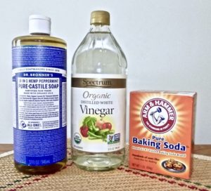 Dr. Bronner's Pure Castile Soap, Spectrum Organic White Vinegar with Arm and Hammer baking soda.