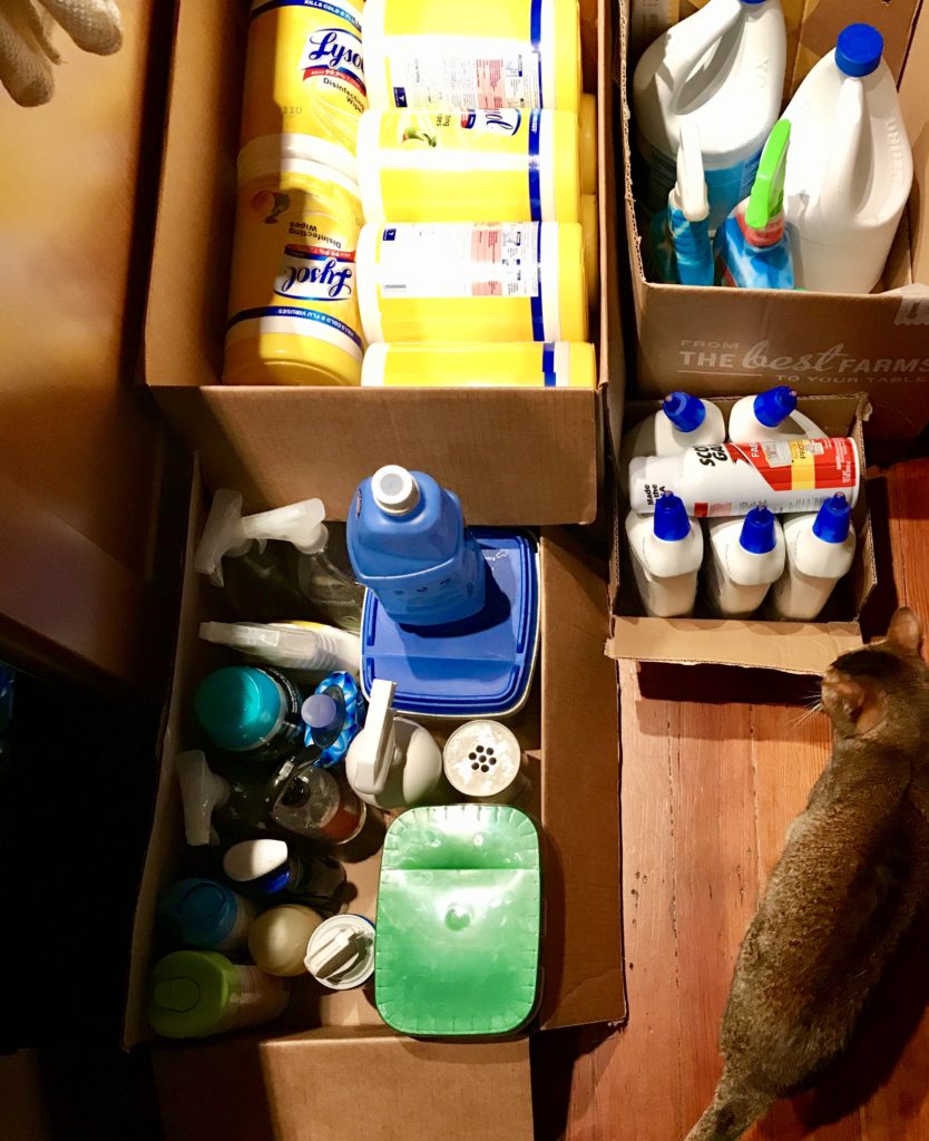 Cat inspects boxes of cleaning chemicals on hardwood subfloor in kitchen.